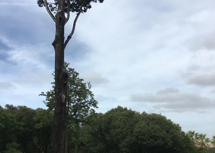 Alojamento de Acomodação e Pequeno-almoço Casa Do Principe