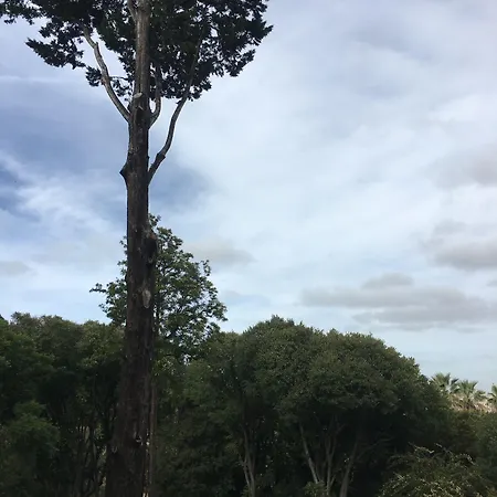 Couette-café Casa Do Principe